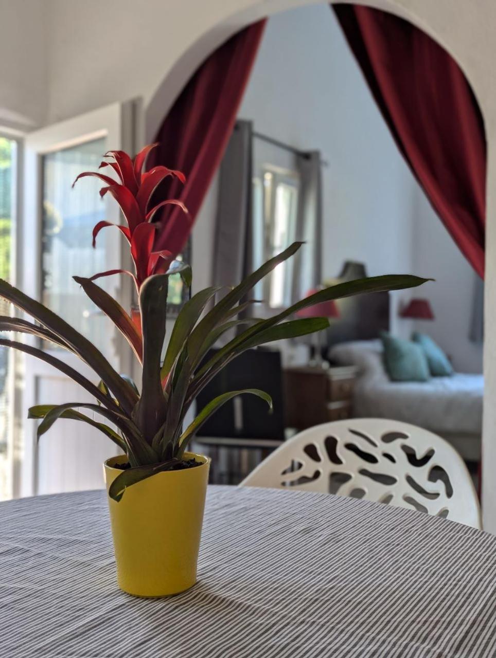 Willa Casa Curral Do Porco Tábua Zewnętrze zdjęcie
